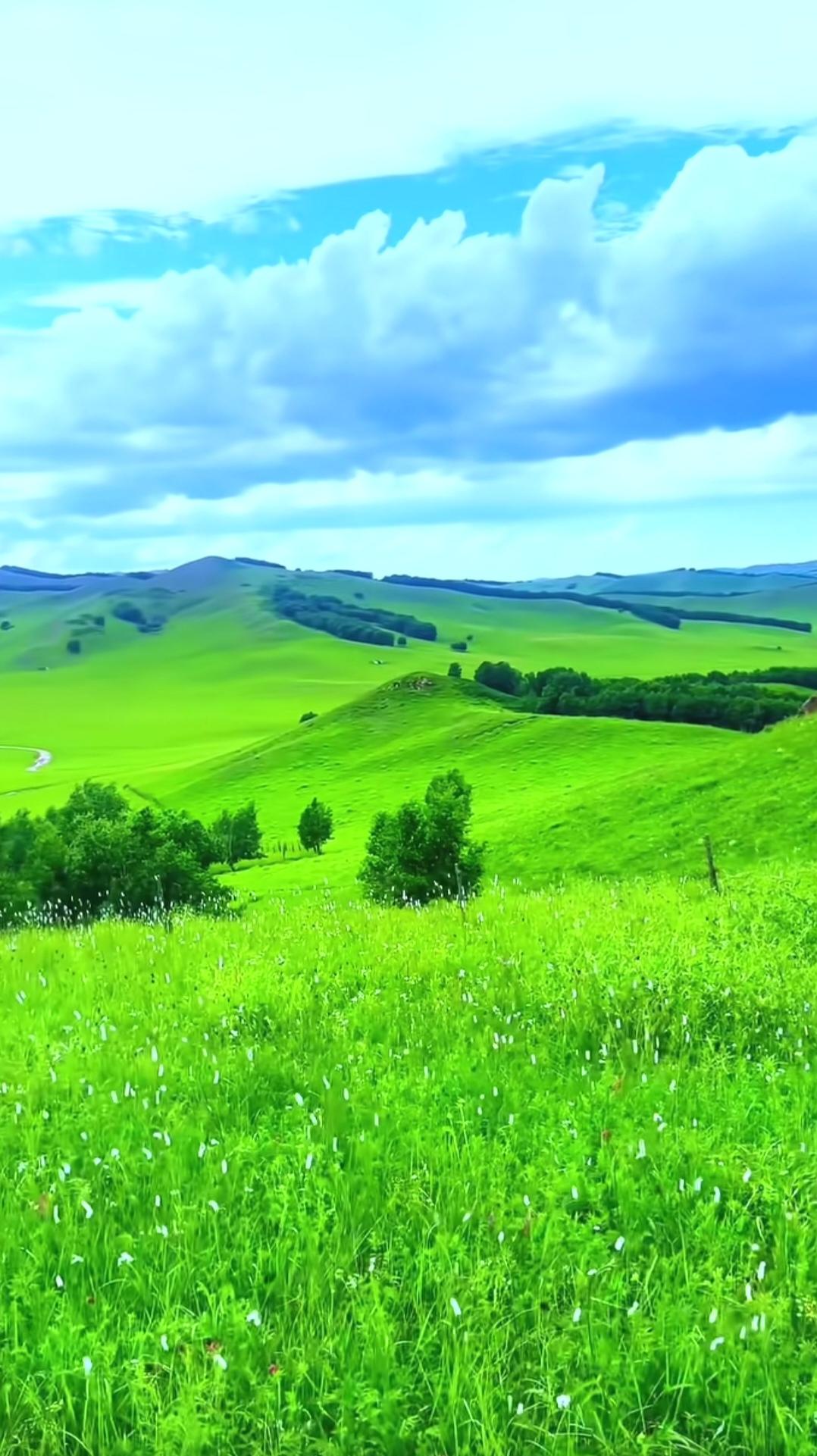 春节期间哪些地方不能燃放烟花炮竹？春节放烟花炮竹本是增添年味的事儿，但有些地方