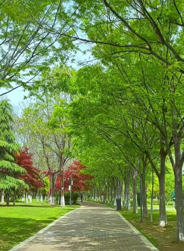 厦门大学教授易中天说的一段话：“再过若干年，我们都将离去，对这个世界来说，我们