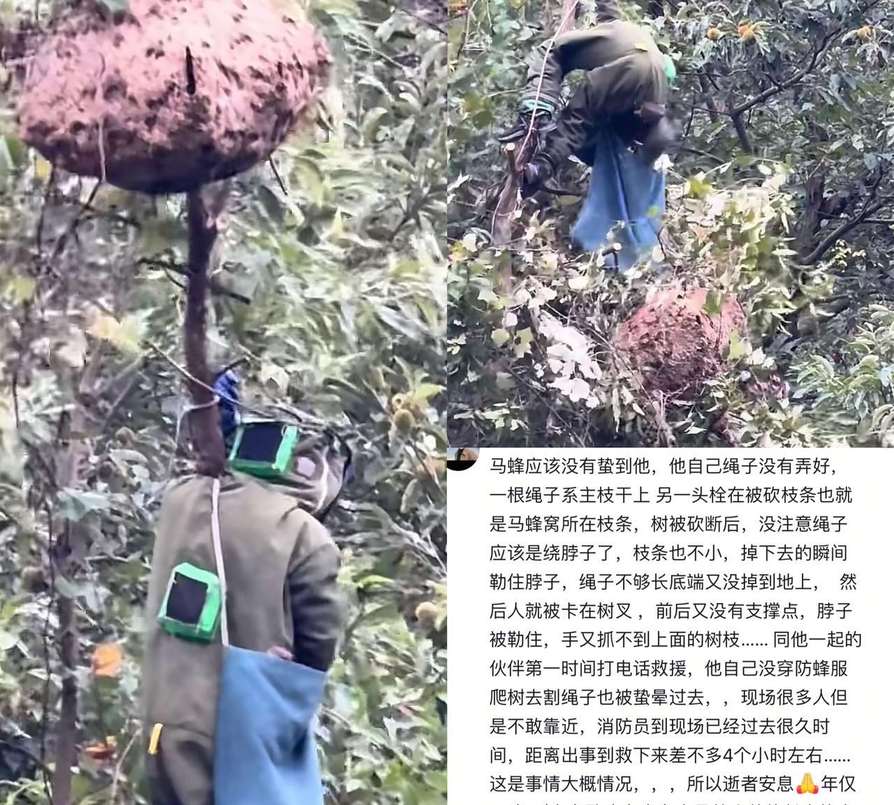 27岁苦命男子取蜂巢被自带绳子勒脖身亡，事发四川筠连县筠连镇，黄某某爬上20多米