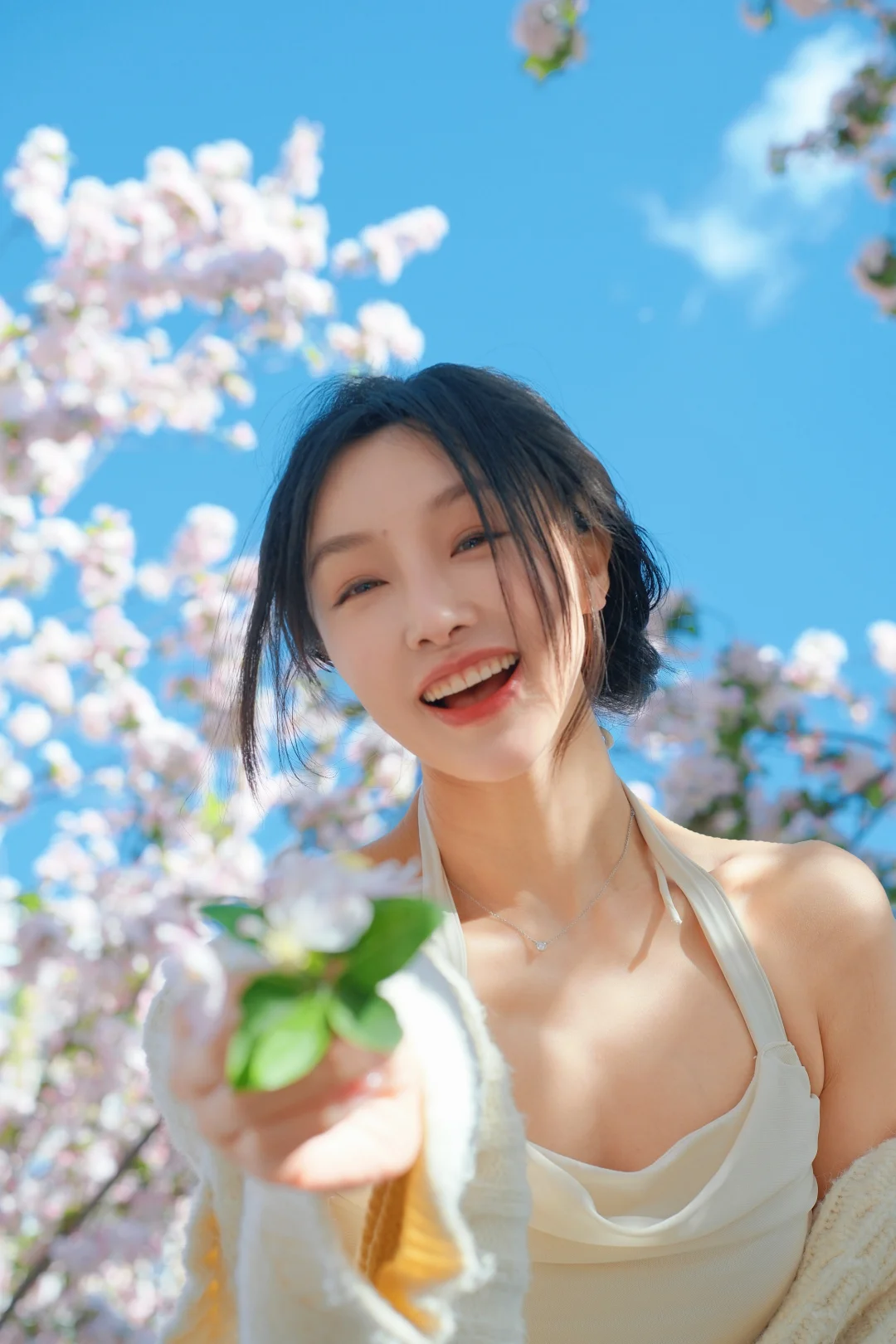 春日限定 | 最美的季节，正悄悄铺展开来🌸