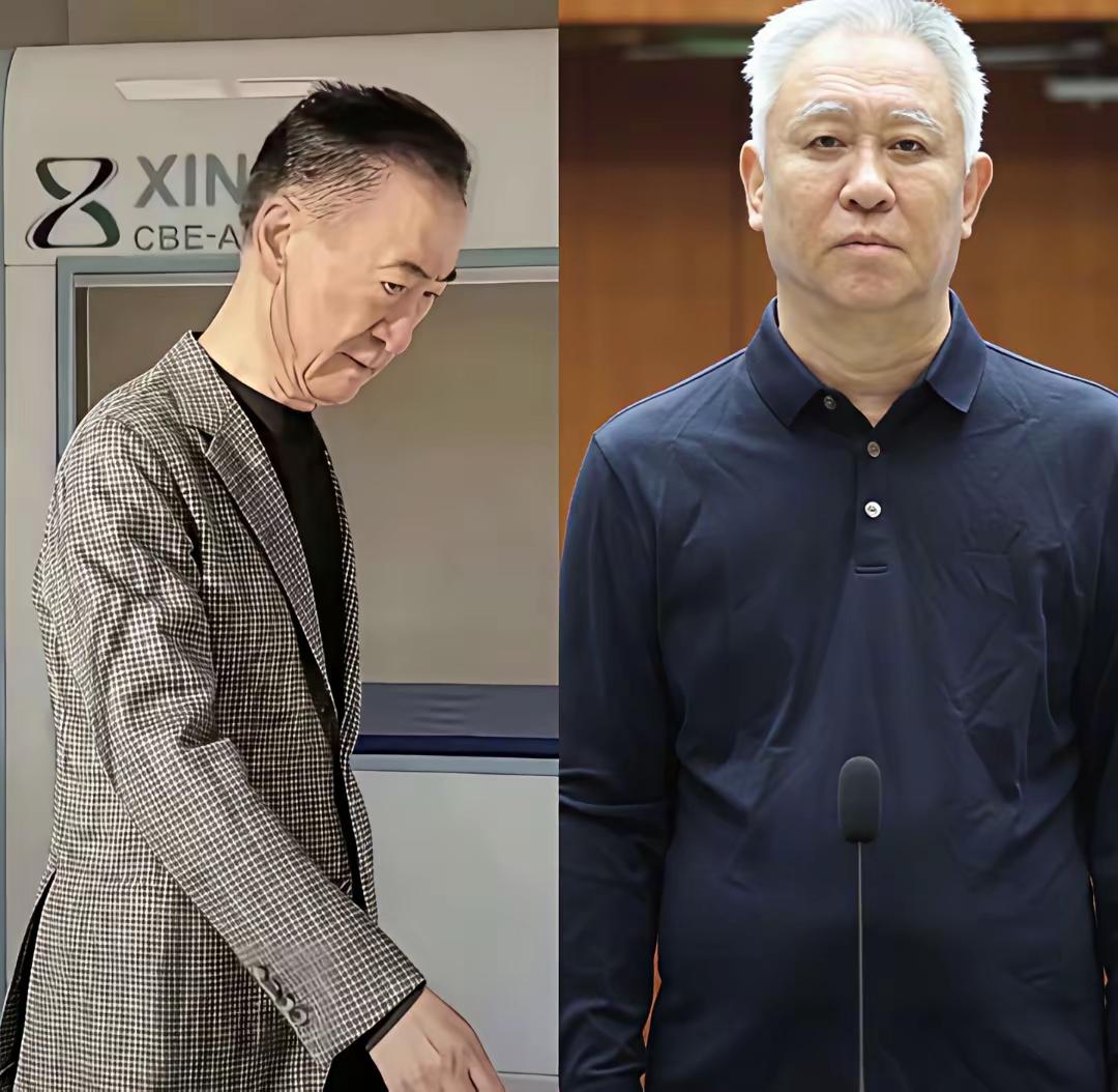 人生的境遇令人唏嘘。当年的中国首富许家印王健林，那时多么风光，看看刘强东丶马云，