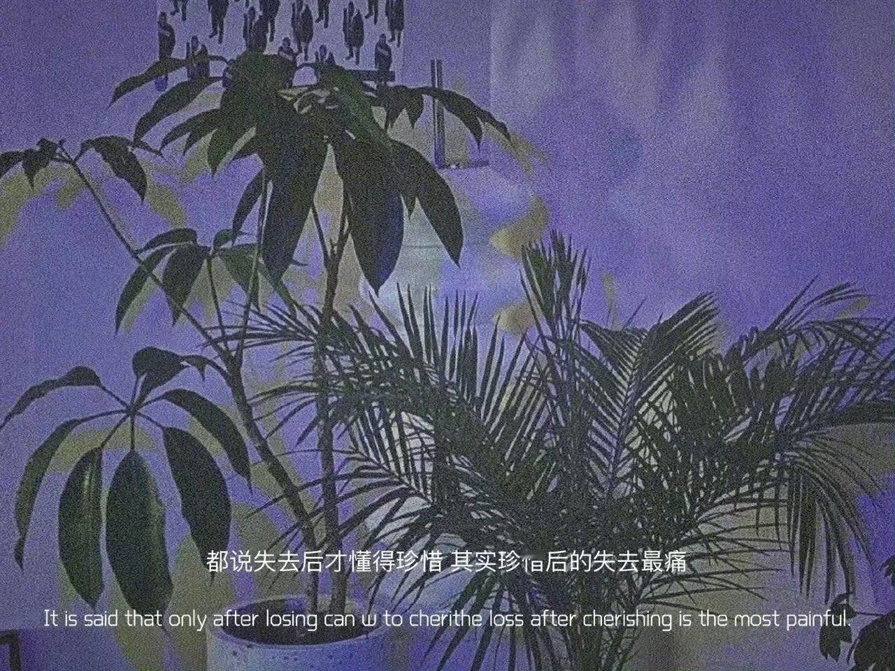 挣钱很苦吧，我告诉你，不挣钱更苦，花别人的钱更苦，伸手问别人借钱的时候，是苦上加