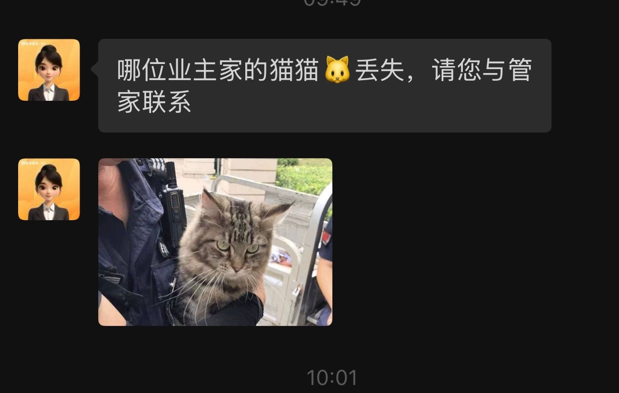 我就觉得我家物业挺好🤣🤣🤣这猫看着非常桀骜不驯啊​​​