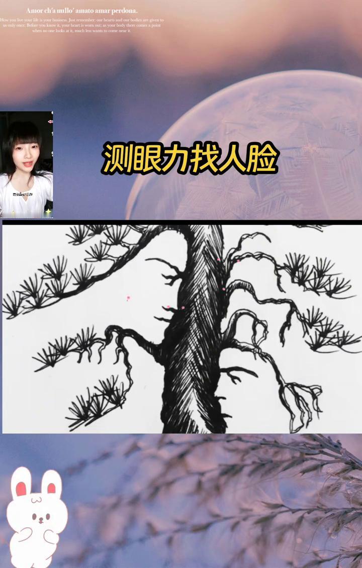 测眼力找人脸。找出七个算及格，找到十个算优秀，能精准找出十三个绝对是眼力超强的