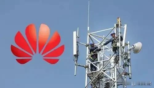 英国和德国这俩国家，花大钱拆华为设备，搞得一团乱。英国花44亿人民币，要到202