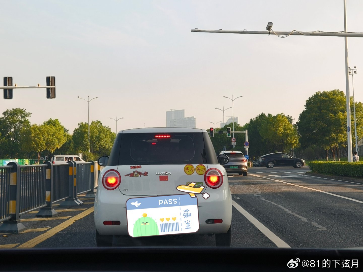 #暑假番外篇#上班路上捕捉到一只小可爱##长安汽车##长安Lumin​