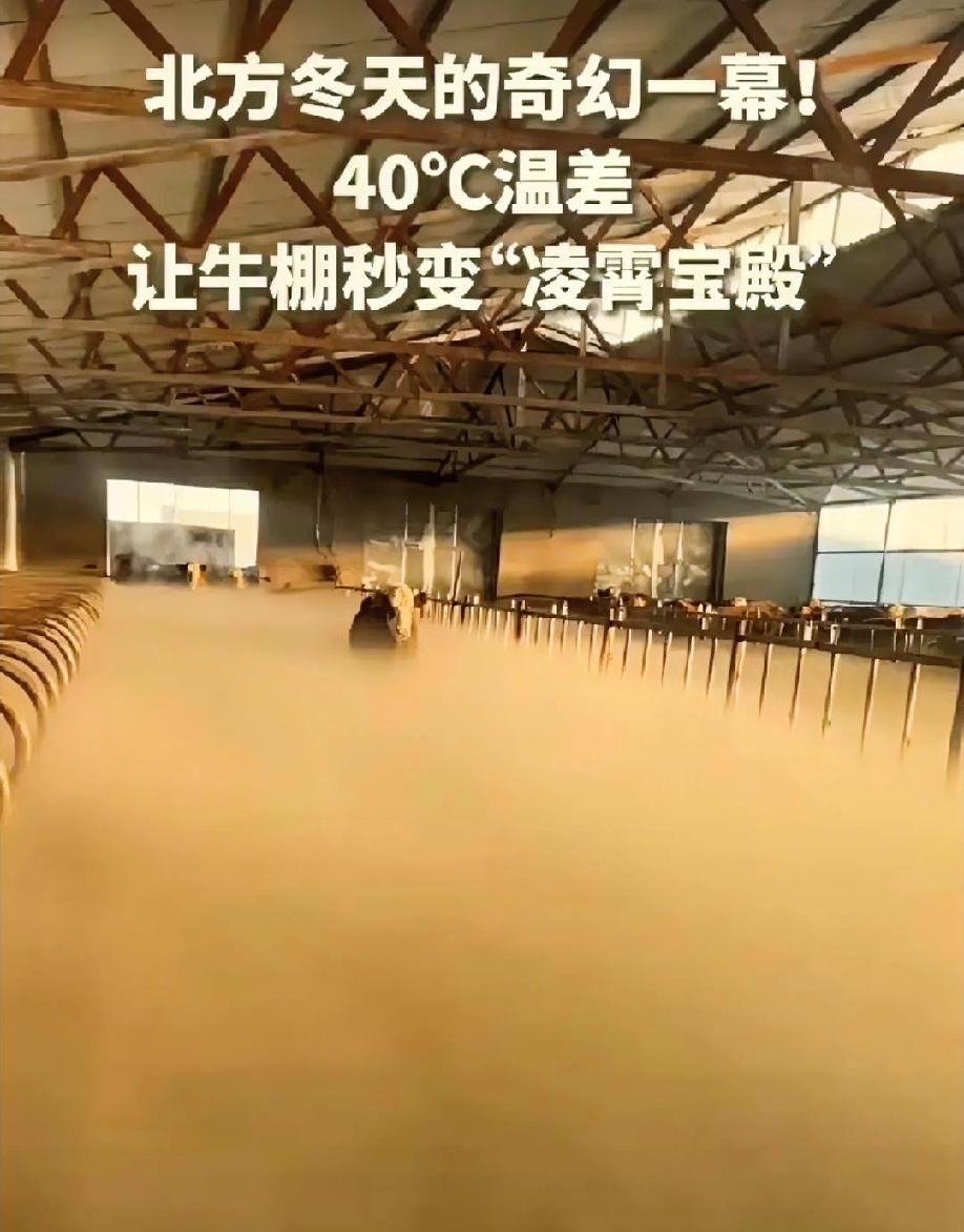 这段“凌霄宝殿”式牛棚的奇观背后，藏着牧民与极端气候的博弈和物理现象的巧妙交织。