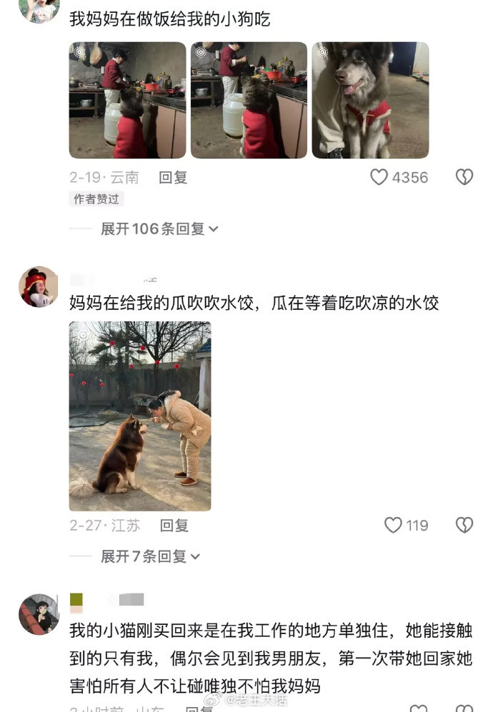 爱屋及乌在此刻具象化了😭