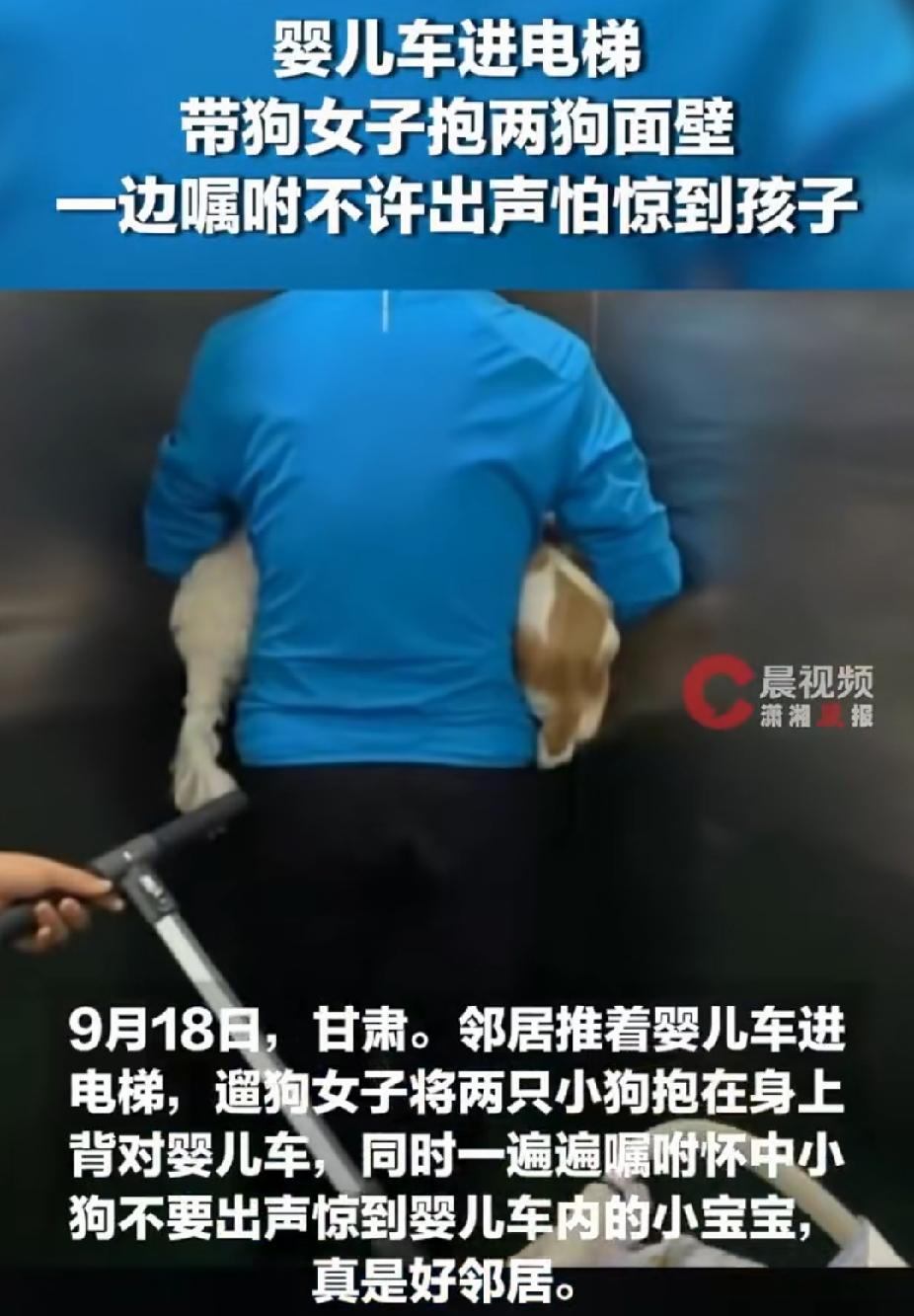 “太有素质了！”甘肃，女子带两只狗狗坐电梯，遇婴儿车进电梯。突然，她把两狗抱起来