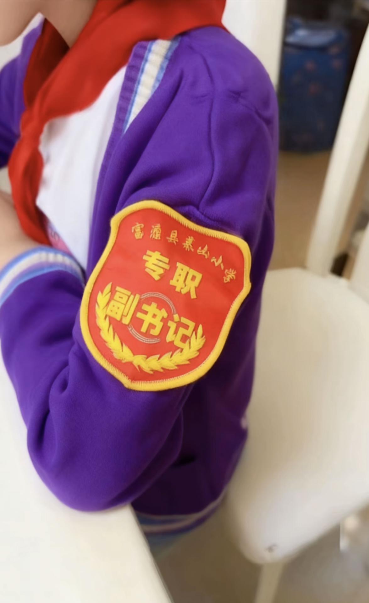 好家伙，小学生的专职副书记，这家伙名头看起来好唬人，不知道这是怎么来的，也不知道