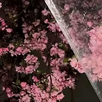 0000柚子的种植方法如下：一、选地与整地1.土壤选择：一般选择土层深厚、排水