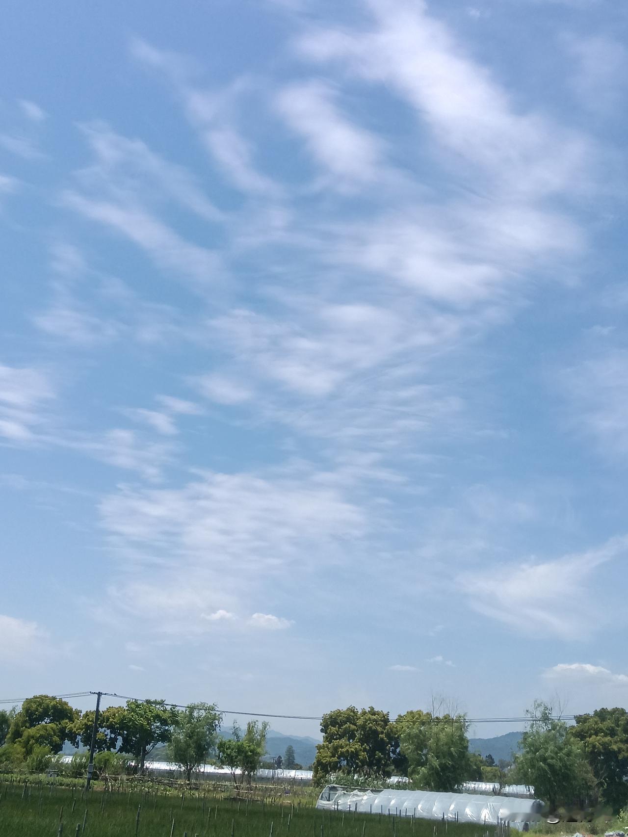 如何评价霍梅尼之孙哈桑·霍梅尼霍梅尼离世后，其家族在伊朗政坛陷入尴尬之境。他们