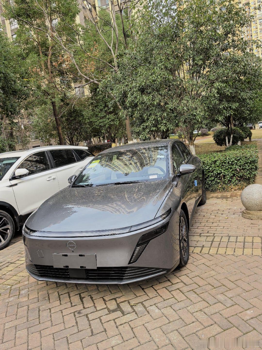 东风日产N6，大家觉得怎么样？