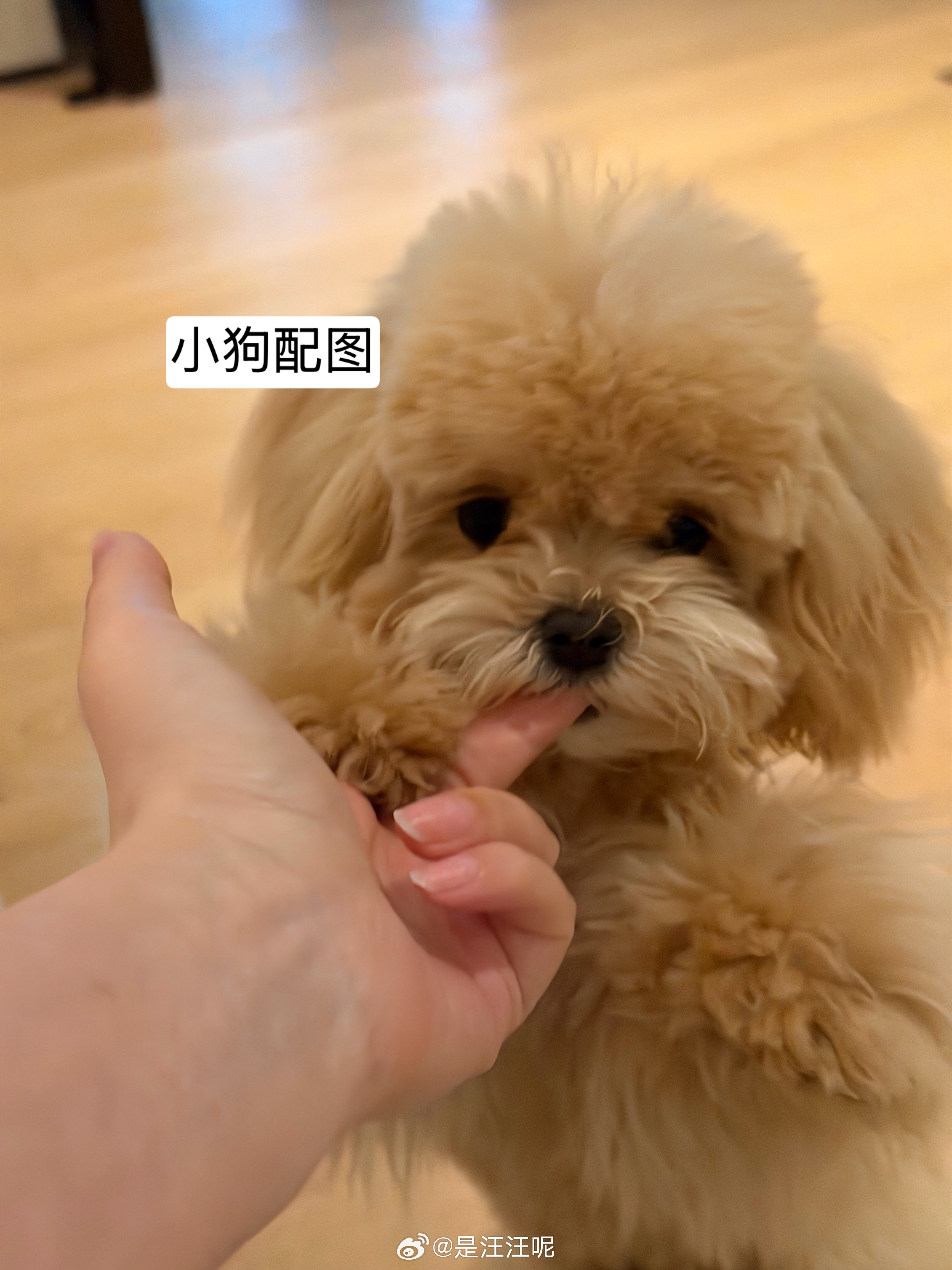 装修的方案一改再改很纠结到底是找全屋定制做整面墙和柜子啥的还是直接买成品呢？两者