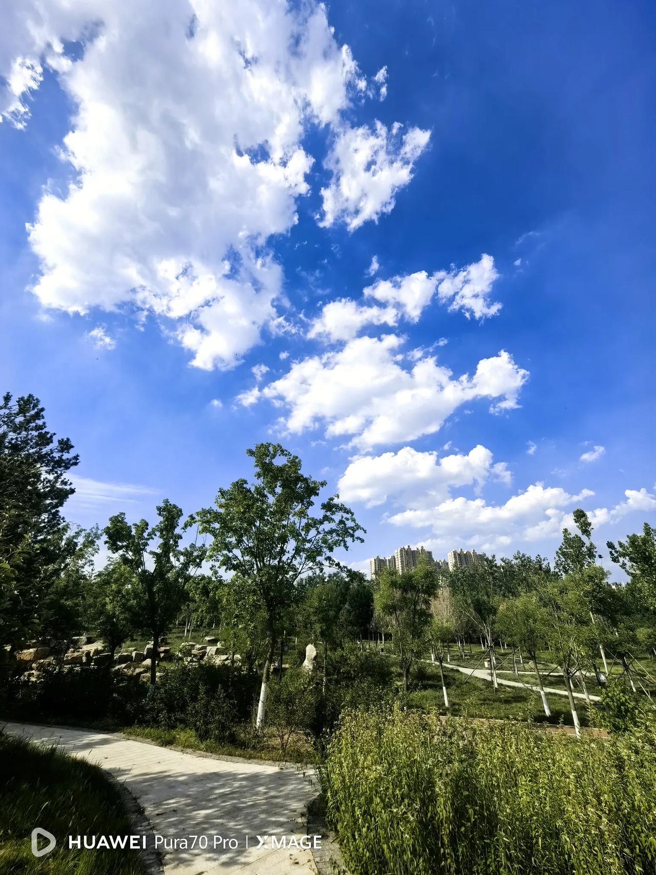 河北师范大学采取选聘方式拟招聘具有博士研究生学历学位的辅导员20名。年龄要求在3