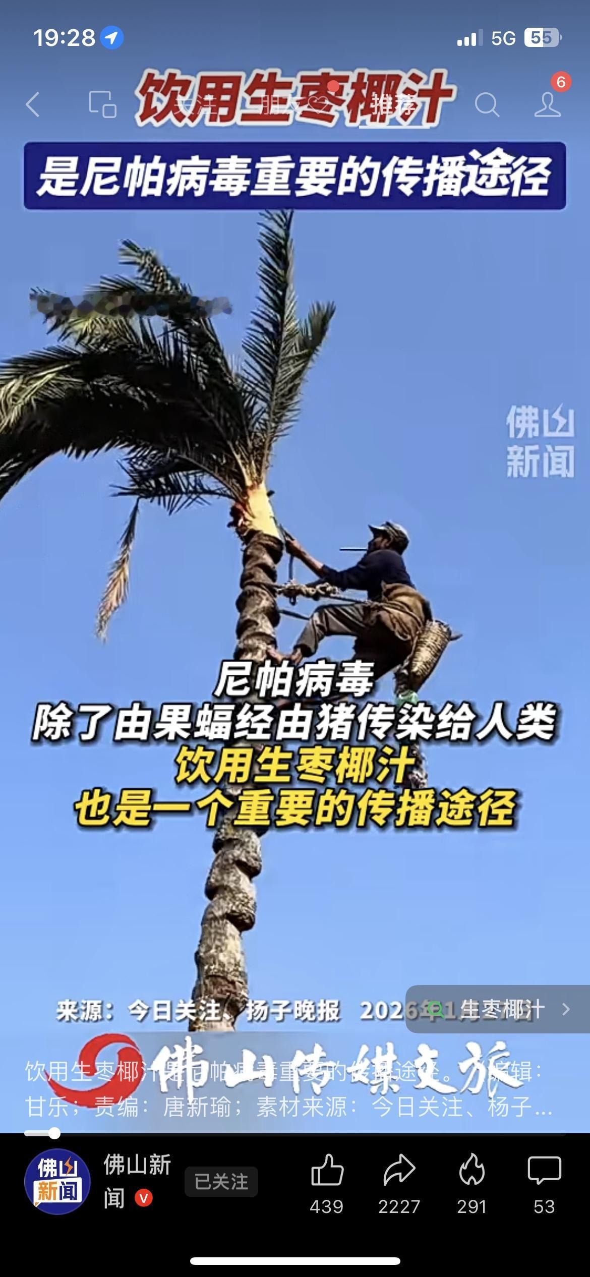 世卫提醒！尼帕病毒竟靠这个传播，出门在外一定要避开！很多人不知道，生椰枣汁是尼
