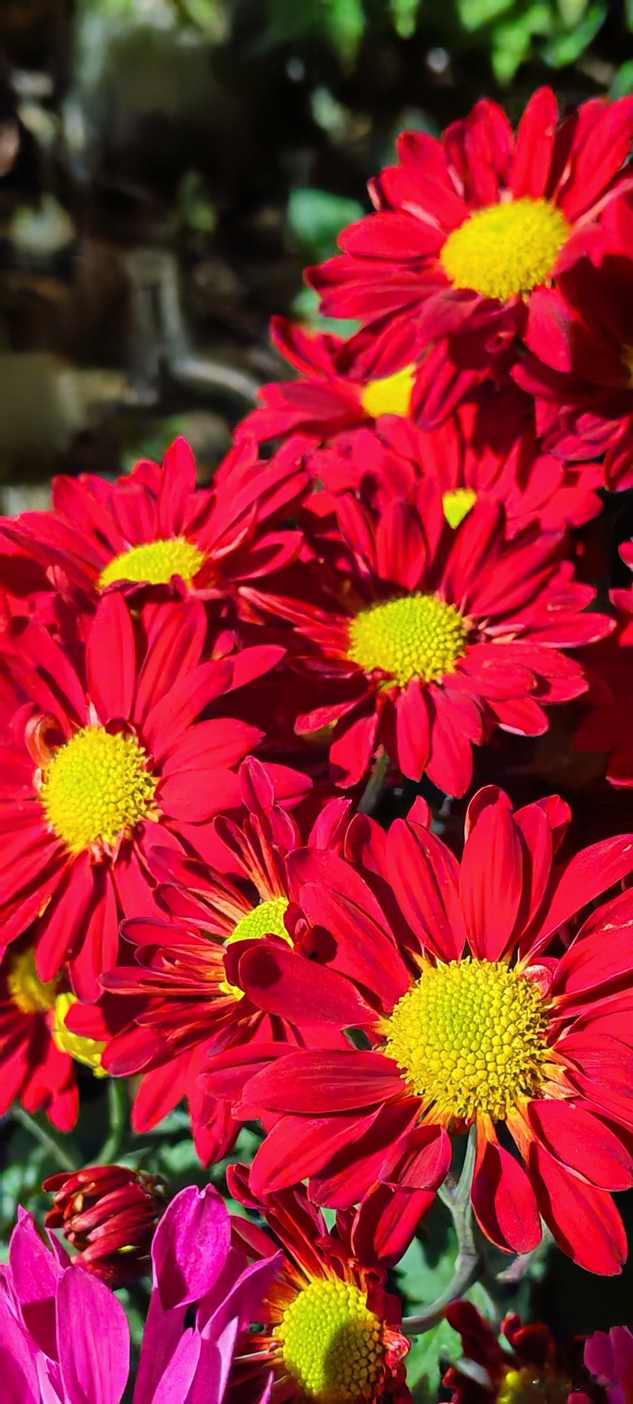 刚刚接到店里电话了，让我今晚上班了，太好了，躺平哪有上班好啊。躺平是消极的生活，