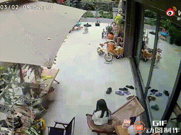 太新奇了！重庆一个女孩坐在门口的躺椅上玩手机，这时她养的小狗跑了过来，朝着女孩撒