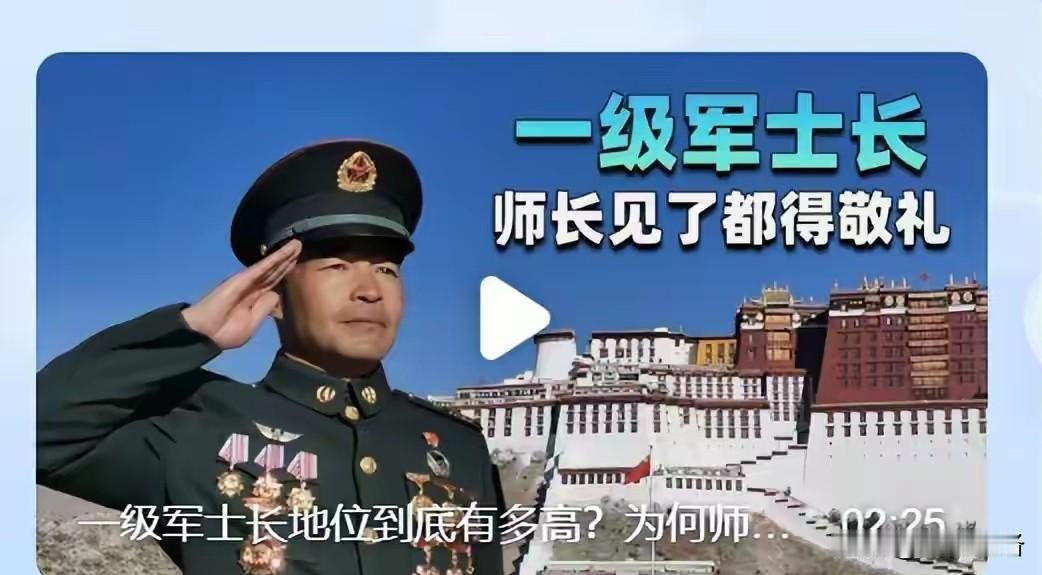 一级军士长，师长见了都得敬礼？看笑了！幸亏自己当过兵！师长