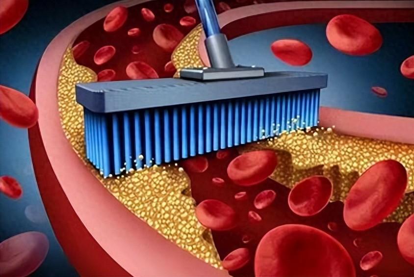 血越干净，寿越长！一碗汤，清血活血补血，血管通了，精气神足了大家好，我是中医陈