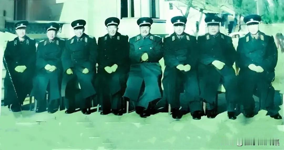 1960年11月，贺龙元帅和罗瑞卿大将率领的中国军事代表团，应邀赴朝鲜参加中国人