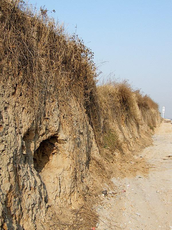秦咸阳城考古新发现：出土文物还原大秦帝国的真实运行细节近日，秦咸阳城的考古现