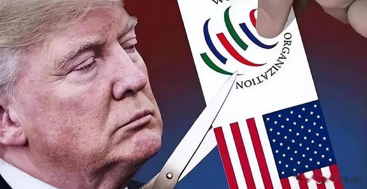 美加要打贸易战？中方回应亮了！加拿大这次真难了…今天（1月26日），美国又