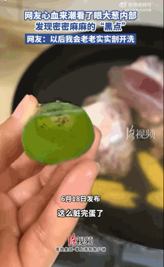 真是让人头皮发麻！社交平台上一位网友在家洗菜时，心血来潮把一根大葱顺手剖开了，结