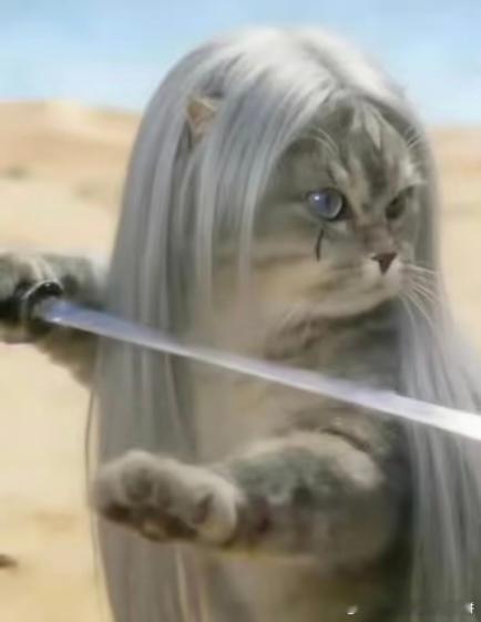 谁懂我们“竖”这个嘴硬心软的邪恶银渐层的萌点，一边开启自动跟随，一边不情不愿满心