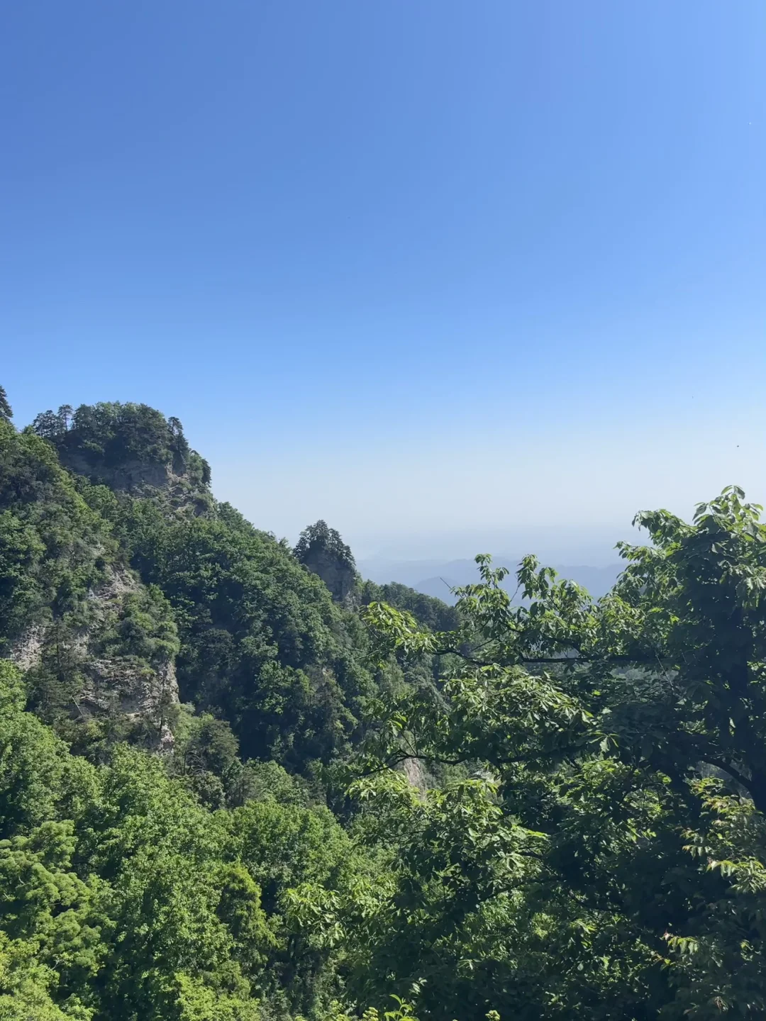 生命力一恢复，面相都变了