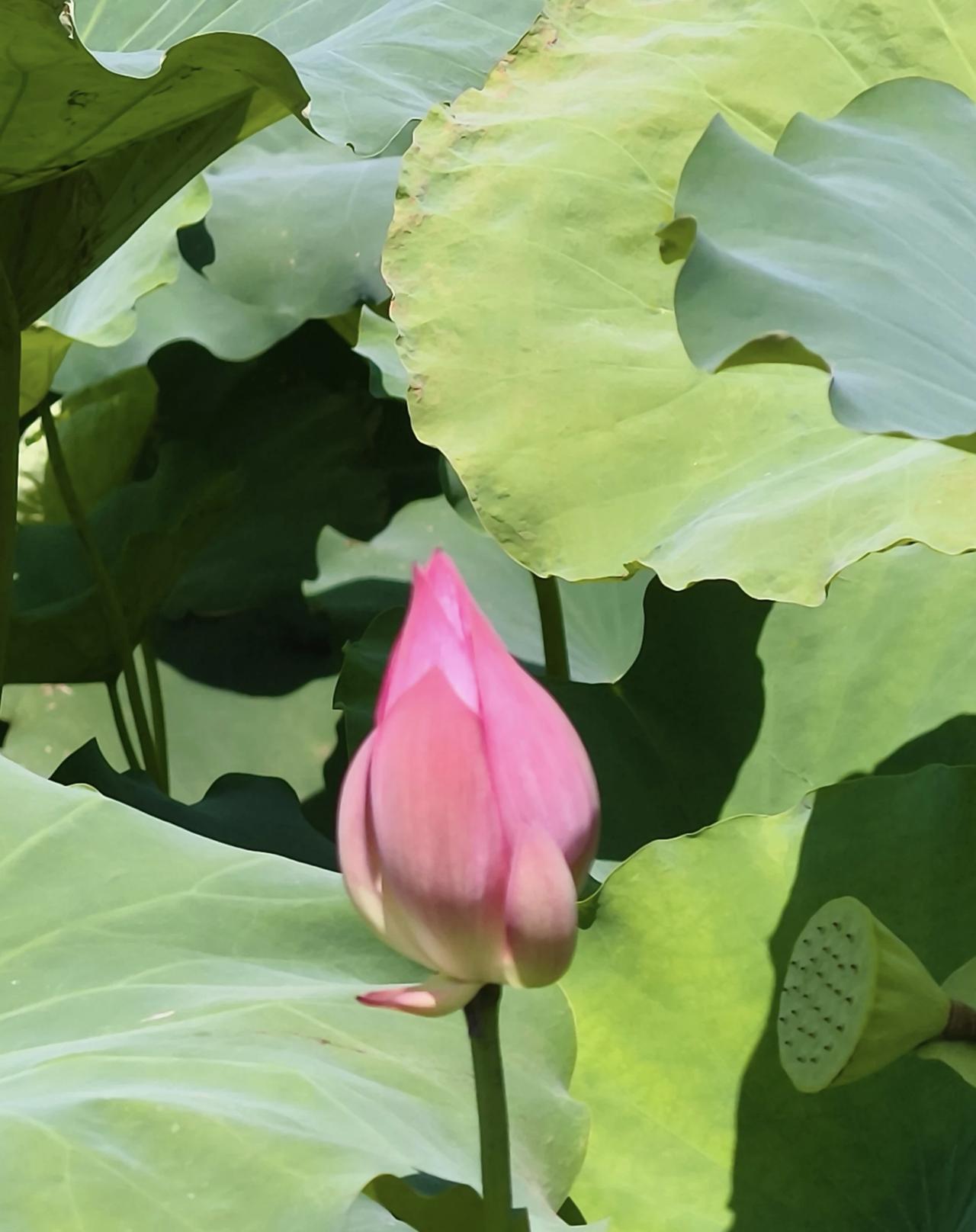与人交往，我们就如同一根稻草，你接触什么圈子就会有不一样的价值。简单来说，你的圈
