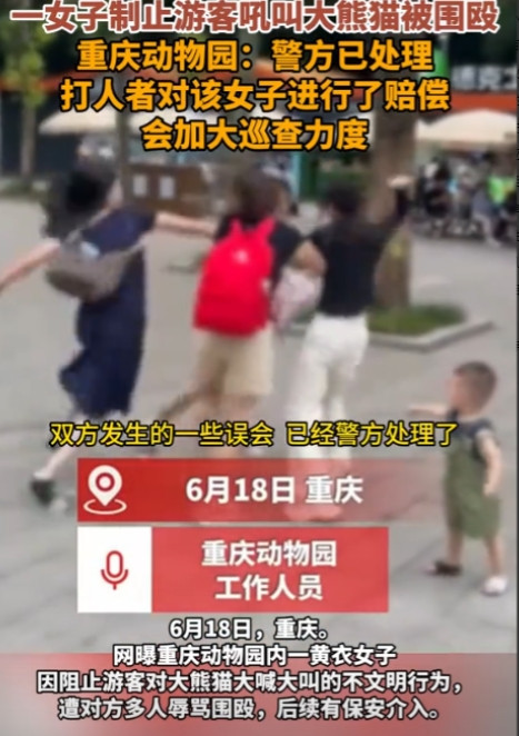 “必须严惩！”6月18日，重庆，一女子在动物园里看大熊猫时，对正在休息的大熊猫大