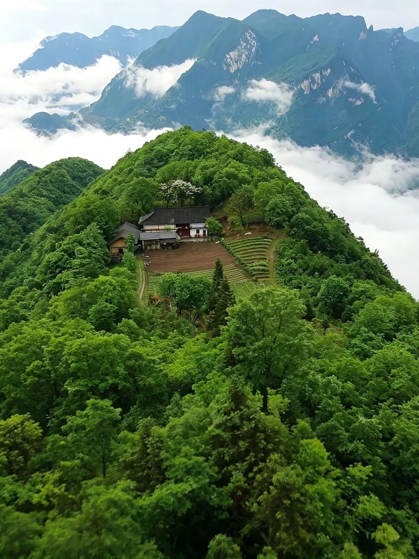 湖北宜昌藏着一处1500米高山之巅的世外桃源✨三面悬崖峭壁，山谷常年云海翻涌