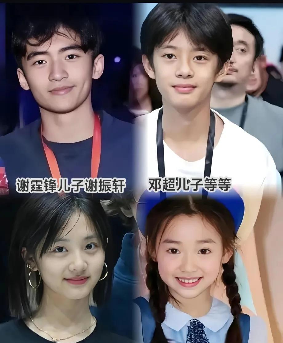 谢霆锋大儿子是我喜欢的类型一脸正气，很爷们，谢霆锋大儿子实力最强Luc