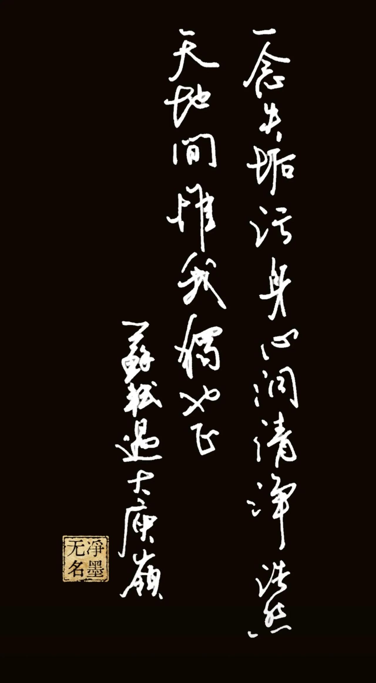 行草线条洒脱流畅，字势开合有致，写出东坡此句旷达风骨。黑白底版本对比强烈，更显静