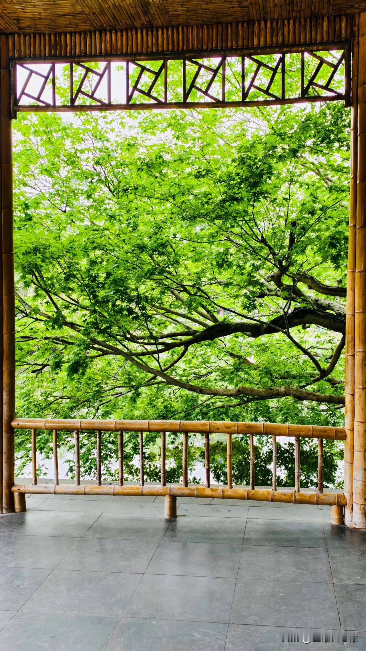 看了一本英国人写的文化模式的书籍，你就会发现历史总是惊人的相似，过去通过鸦片瓦解