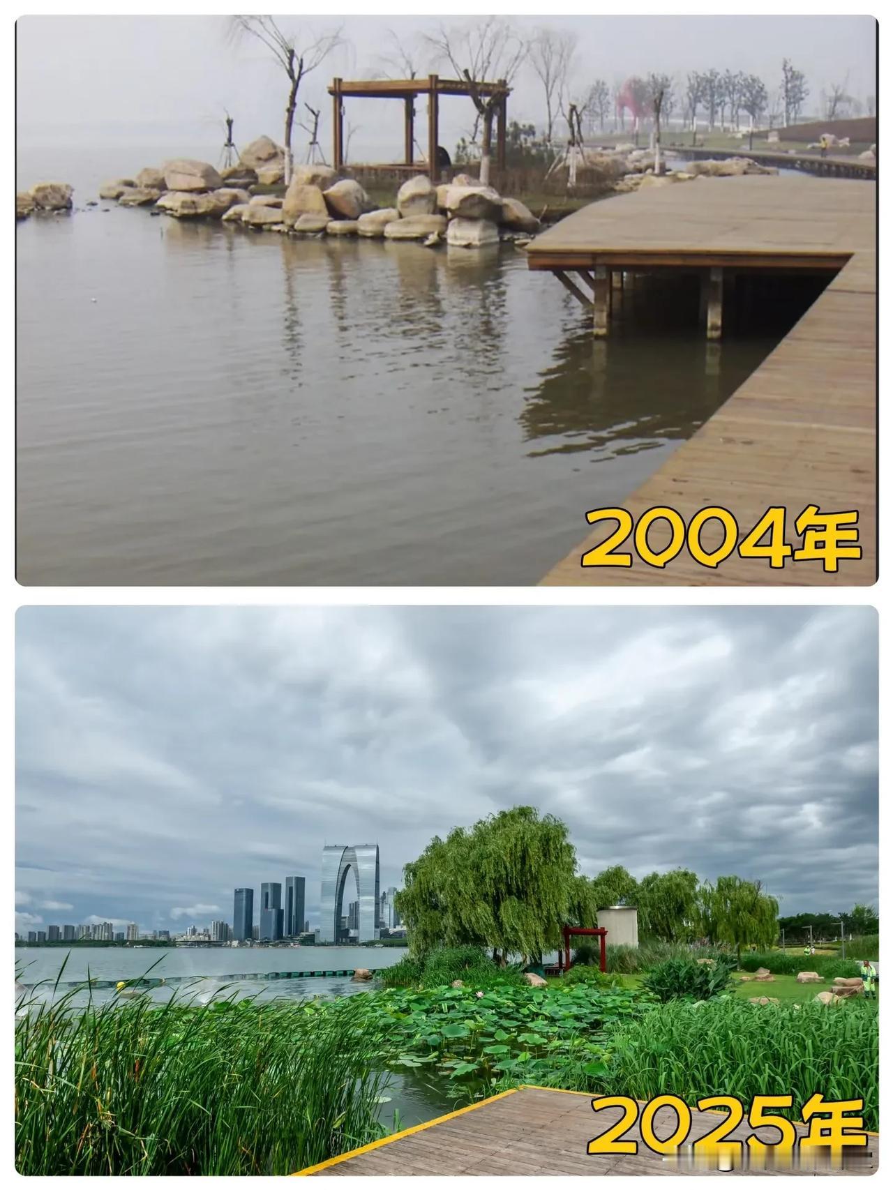 2004年苏州市工业园区金鸡湖景观步道之前是没有金鸡湖大桥的，后来才有