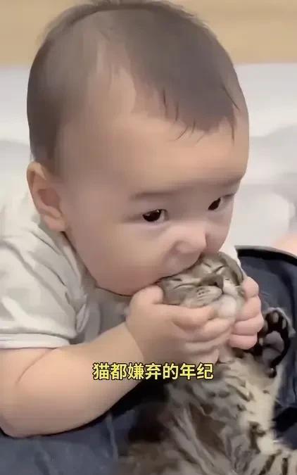 邻居带着几个月大的宝宝来我家玩，我家的狸花猫一开始还和他玩的很开心，宝宝不停的咯