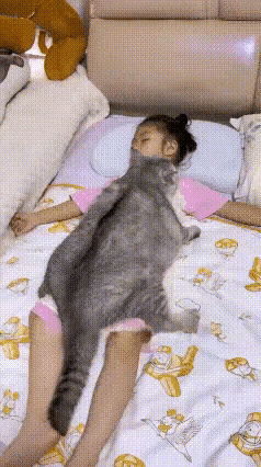家里的胖猫咪，对小主人有着旁人替代不了的宠溺。闲暇时刻，它总喜欢沉甸甸窝在