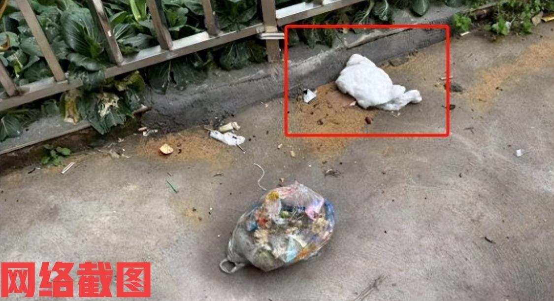 江西南昌有男子早上在自家后院。男子住一楼带个后院，这一眼就看见楼上扔掉的一些