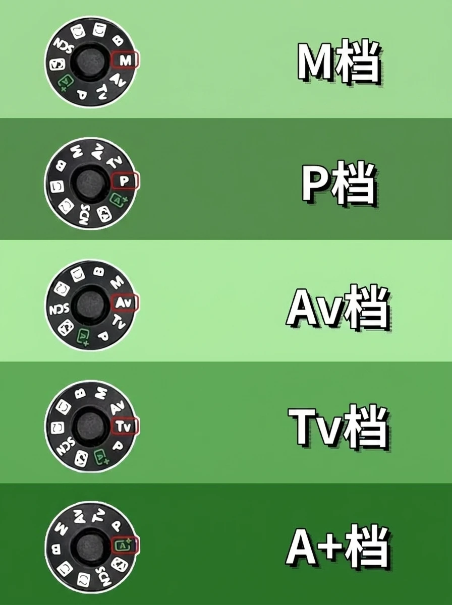 一篇搞懂相机的五大档位‼️