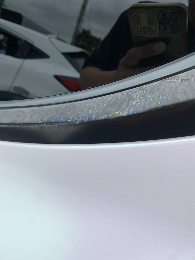 特斯拉Modely提车第二周踩雷提车后第二周，第二次洗车，图方便找了楼下小洗