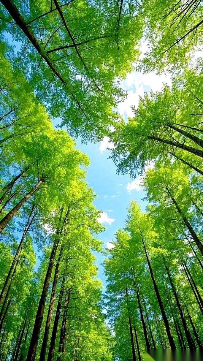 我靠！真的假的？！刷到这个我手抖了一下！不是吧不是吧，天蝎座的姐妹们，你们有没有