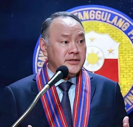 很多人抨击菲律宾防长的“援助策略论”，我觉得他只不过是胆子大了些，无耻了点，其实