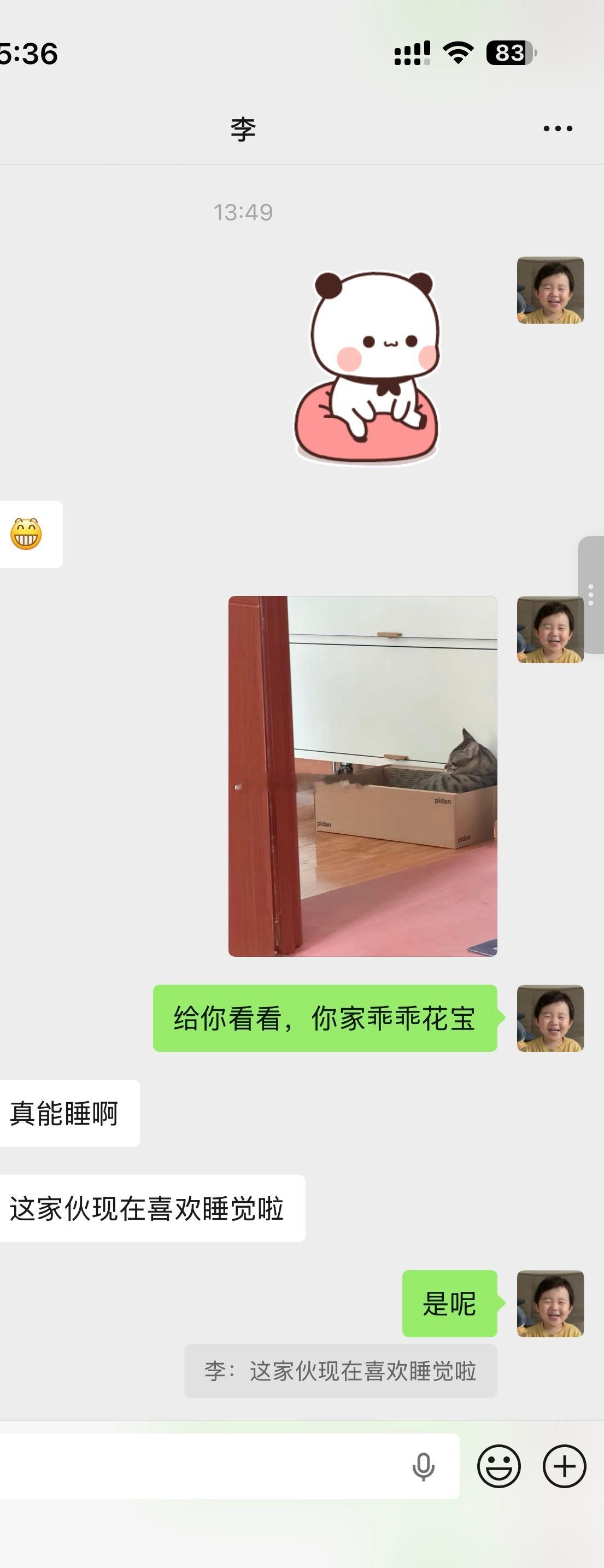 谁能想，有一天也能成为猫奴​​​