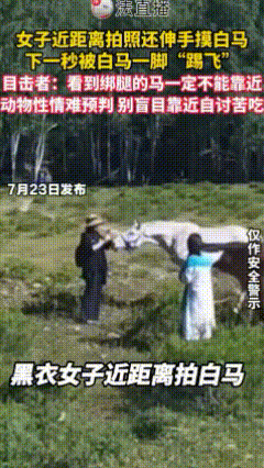 看你还手欠不？拍照就拍照，干嘛非要乱摸，烦死了！不让你长点记性，算你白来