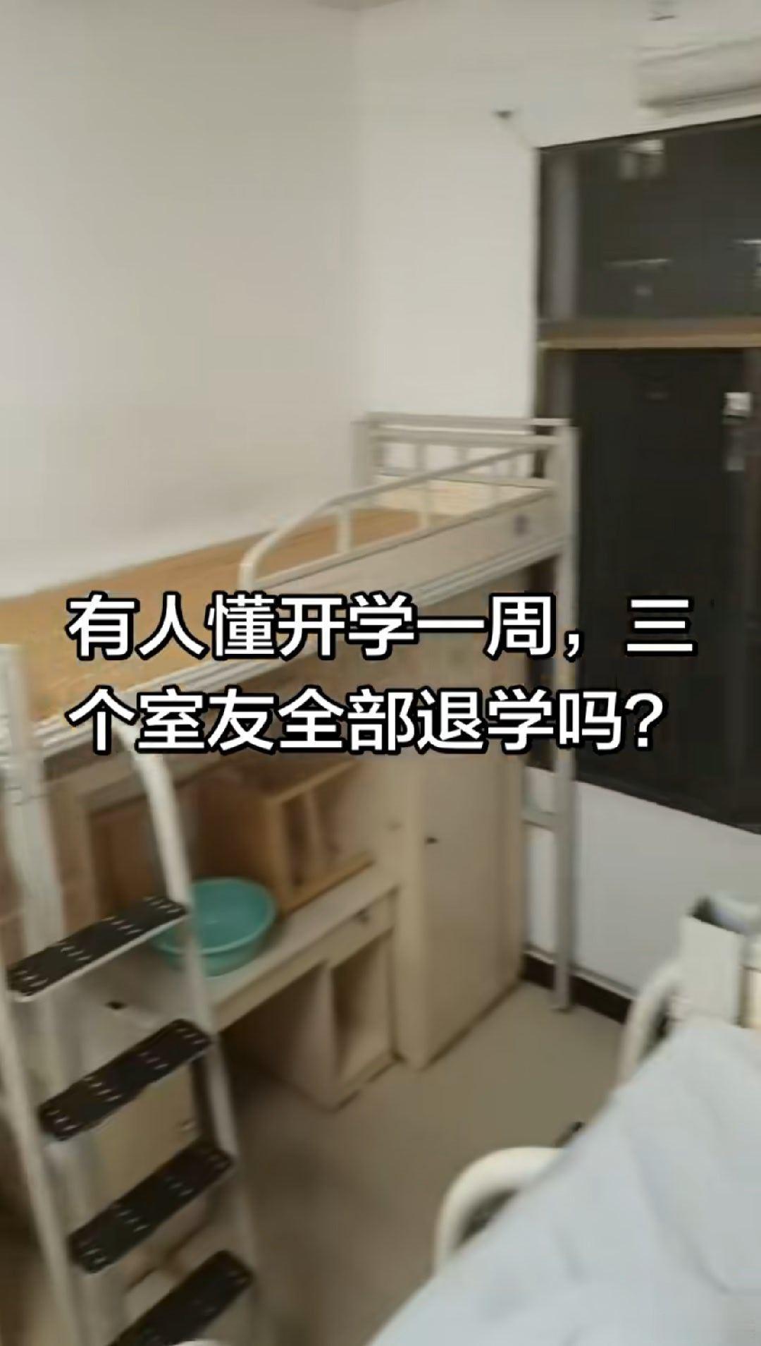 985退学率也这么高吗？​​​