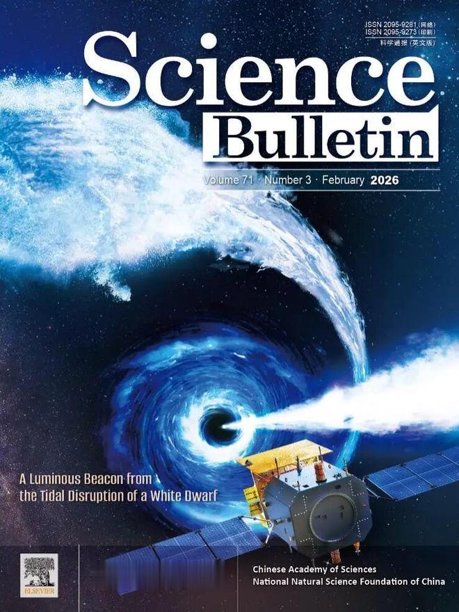 我国“天关”卫星或首次捕捉中等质量黑洞撕裂白矮星事件