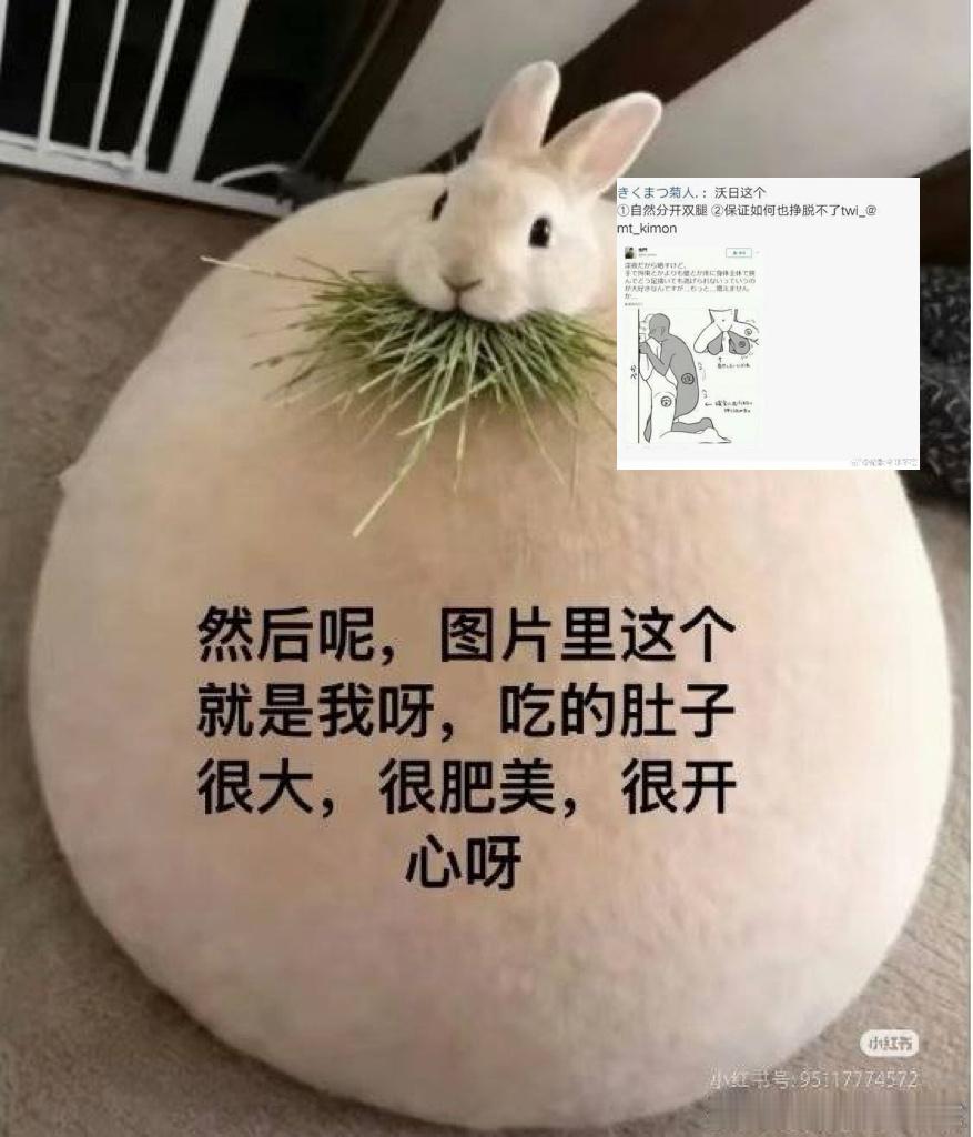 尝试写了这个无法逃离的姿势……不知道能不能看出来在上一篇！