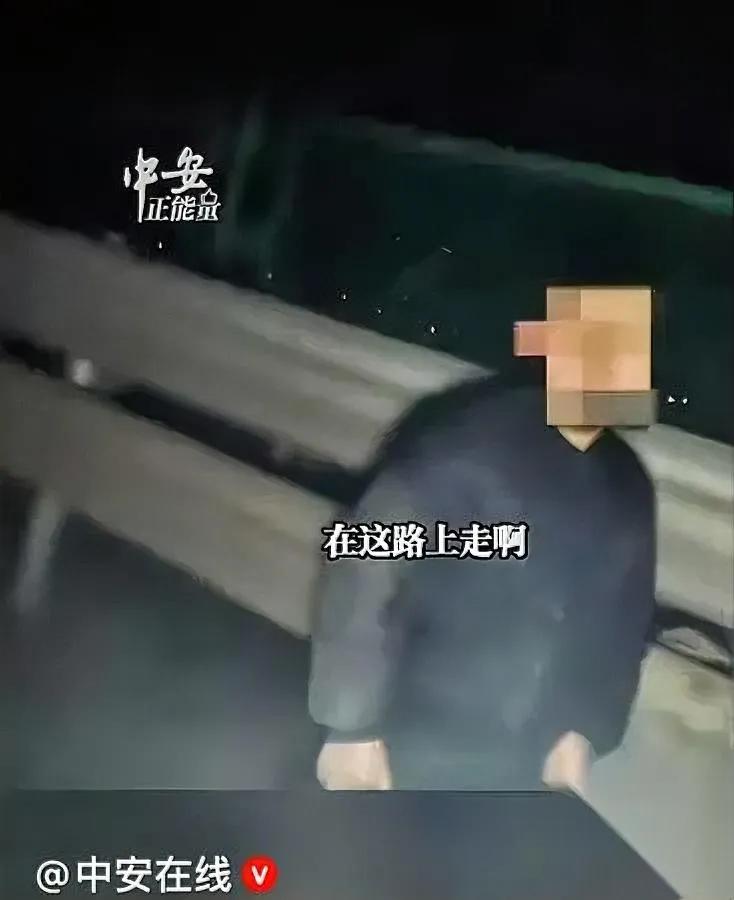 半夜跑高速的大货车司机突然踩了急刹车——对面车道居然站着个穿校服的小男孩